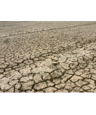 aridit� (kutch/gujarat)