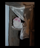 � la fen�tre, en 2008, � S�te